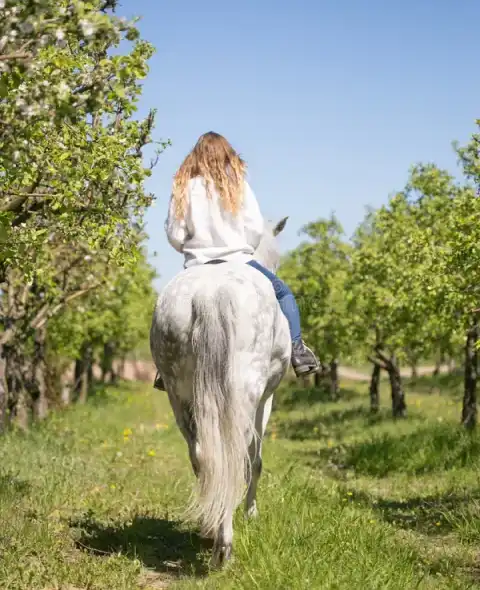 Ferme Equestre Le Refuge Location De Poney A Pouance Evasion En Pleine Nature Ferme Equestre Le Refuge Location De Poney A Pouance Evasion En Pleine Nature