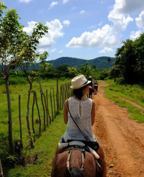 Ferme Equestre Le Refuge Location De Poney A Pouance Balade A Cheval Ferme Equestre Le Refuge Location De Poney A Pouance Balade A Cheval