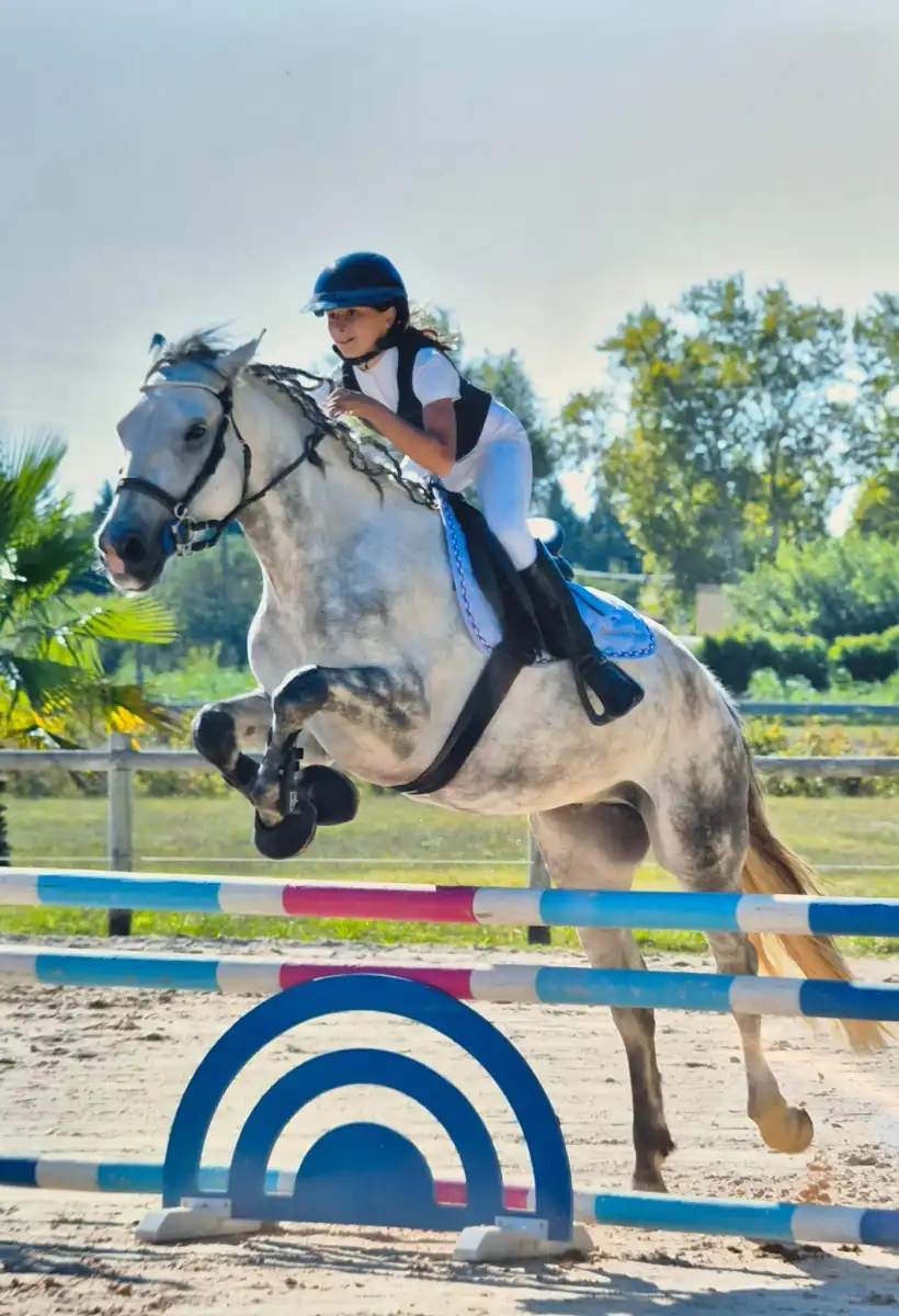 Ferme Equestre Le Refuge Location De Poney A Pouance Galerie 1