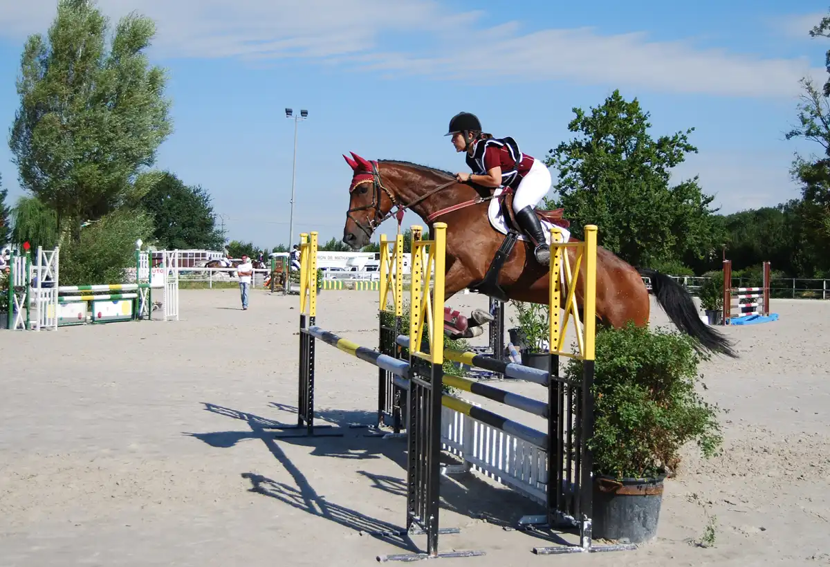 Ferme Equestre Le Refuge Location De Poney A Pouance Galerie 2