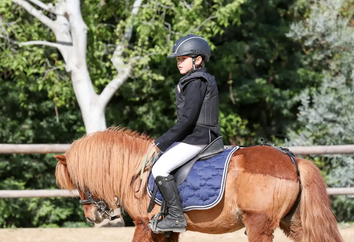 Ferme Equestre Le Refuge Location De Poney A Pouance Galerie 5