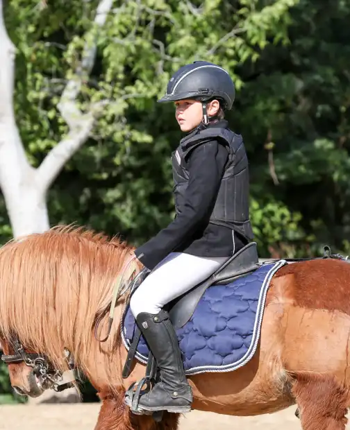 Ferme Equestre Le Refuge Location De Poney A Pouance Poney Pour Enfants Ferme Equestre Le Refuge Location De Poney A Pouance Poney Pour Enfants