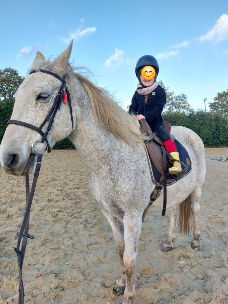 Ferme Equestre Le Refuge Location De Poney A Pouance 1000053635
