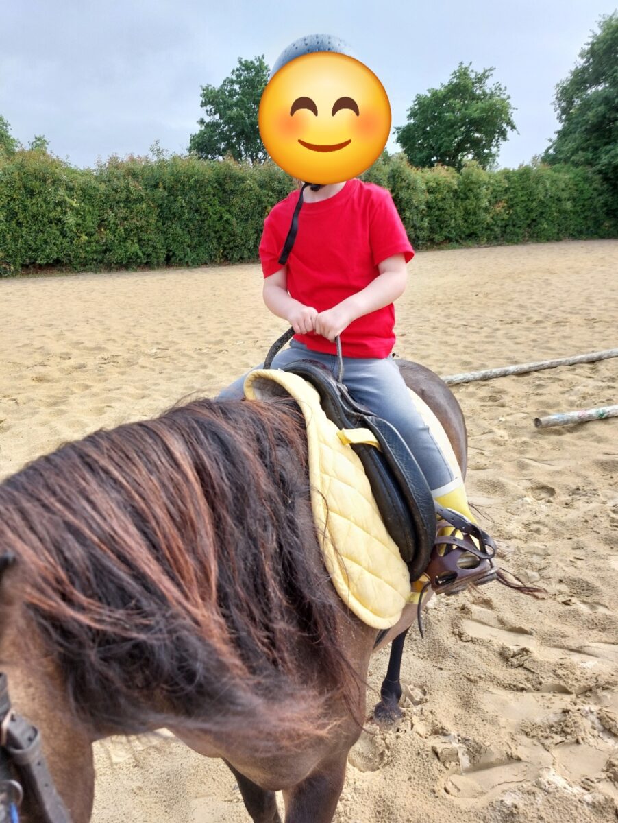 Ferme Equestre Le Refuge Location De Poney A Pouance 1000065458