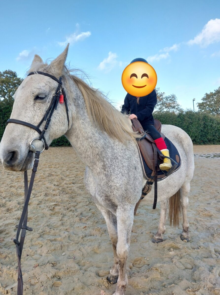 Ferme Equestre Le Refuge Location De Poney A Pouance 1000065459
