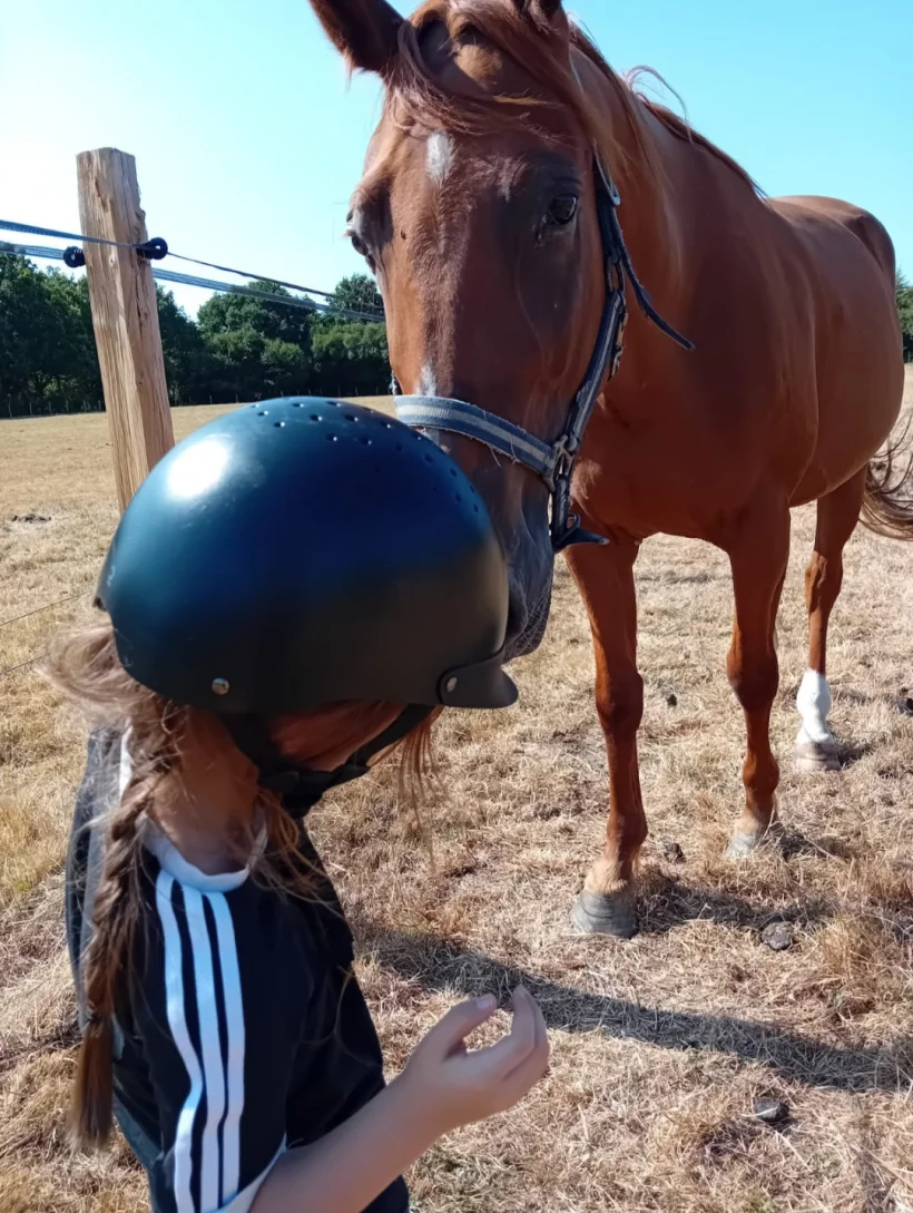 Ferme Equestre Le Refuge Location De Poney A Pouance Ferme Equestre 02